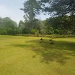 Chale - Chacara Em Santa Felicidade