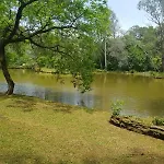 Chale - Chacara Em Santa Felicidade