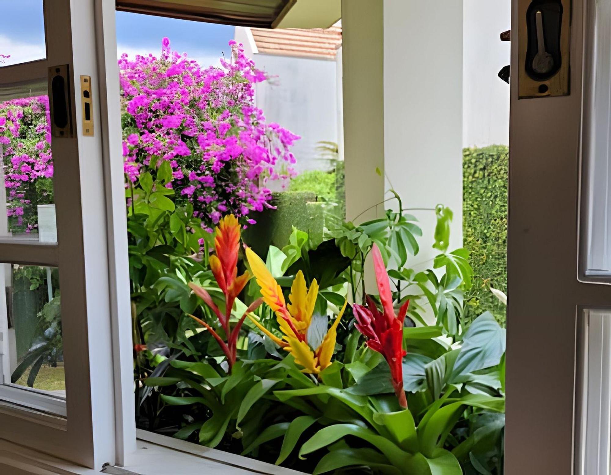 King Climatizado, Garden, Prox. Barigui Apartamento