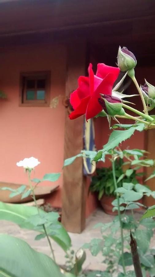 Guest house Saci Do Paranai *