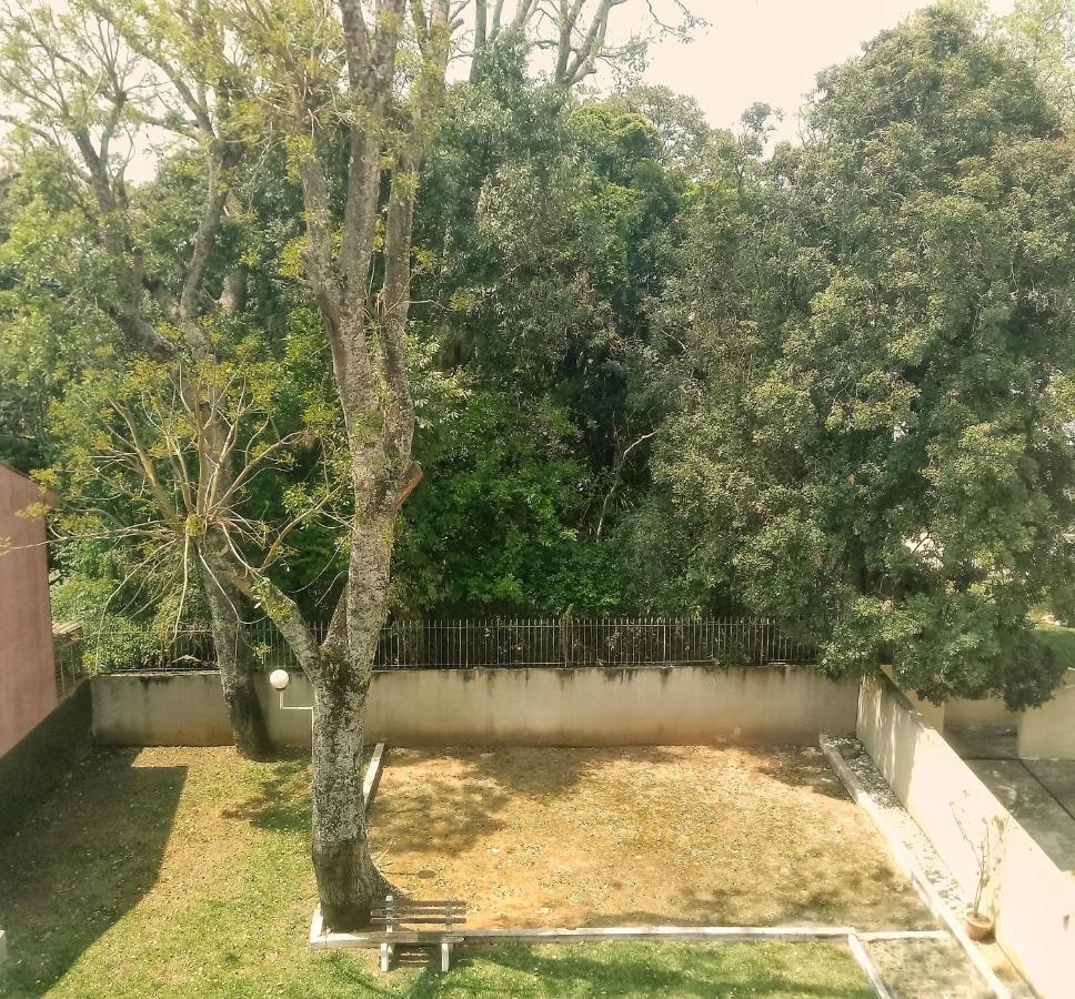 Aconchegante E Proximo A Natureza! Apartamento Curitiba