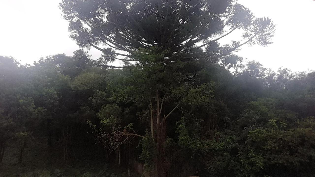 Krono Hospedagens Ecoville Curitiba