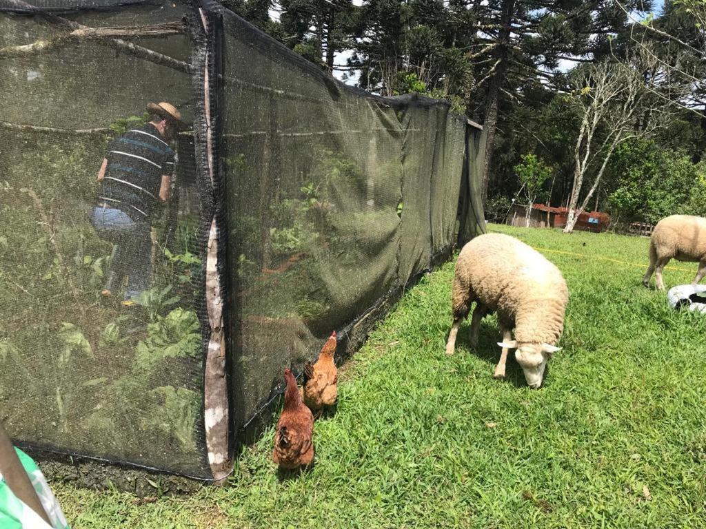 Casa de férias Chacara Maravilhosa Pertinho De