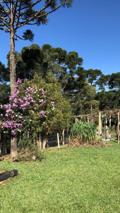 Chacara Maravilhosa Pertinho De * Curitiba