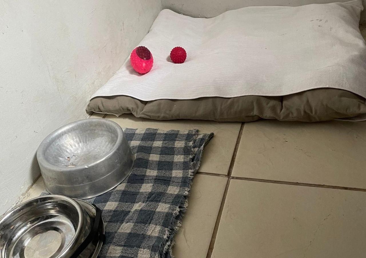 Apartamento Conforto E Elegancia Em Bairro Nobre De