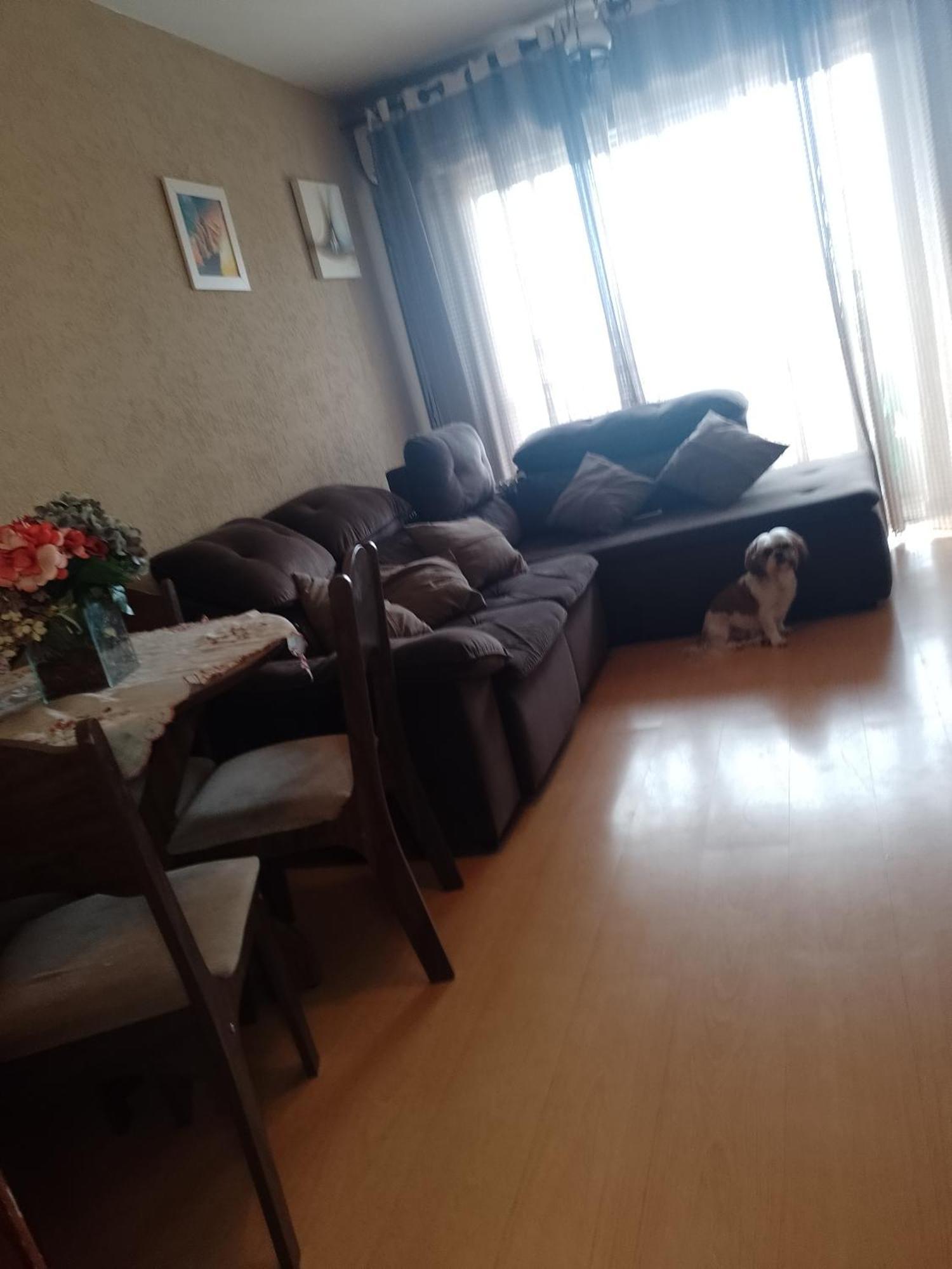 Apartamento Apto Proximo Ao Estadio Do Atletico E Shopping
