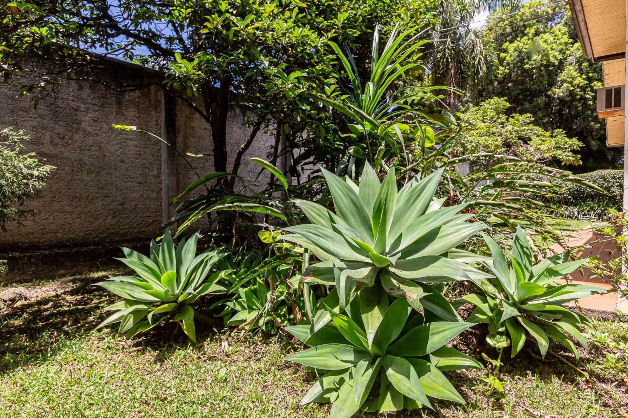 Memora - Quartos Em Casa Proximo Ao Parque Bacacheri Curitiba