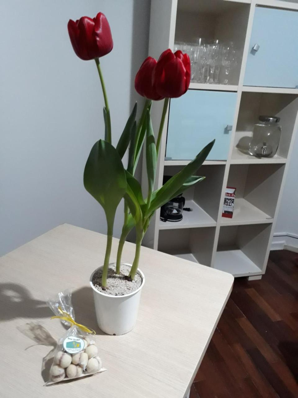 Mello's House Apartamento *