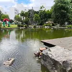 Apto Em Condominio Clube Frente Pro Bosque E Lago No Terminal Do Pinherinho Proximo Ao Centro - Garagem Para 2 Veiculos